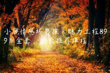 小鹿情感坏男孩《魅力工程899》全套，站长推荐课程