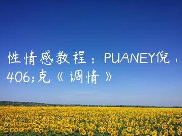 两性情感教程：PUANEY倪 艾克《调情》