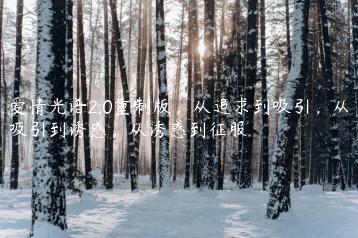 爱情光谱2.0重制版，从追求到吸引，从吸引到诱惑，从诱惑到征服