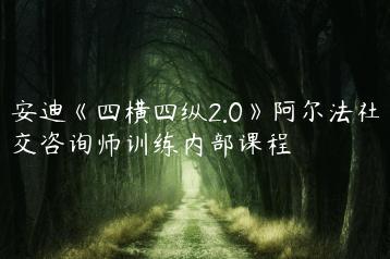 安迪《四横四纵2.0》阿尔法社交咨询师训练内部课程