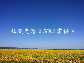 社交光谱《SOUL掌握》