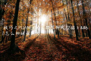 聊天技巧之PUANEY倪《微信聊天72招》，教你怎么和妹子聊天