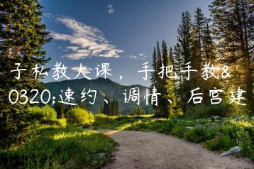 浪子私教大课，手把手教你速约、调情、后宫建设