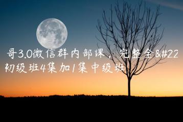男哥3.0微信群内部课，完整全套初级班4集加1集中级班