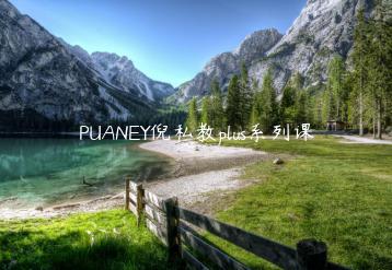 PUANEY倪私教plus系列课