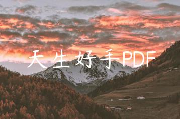 天生好手PDF