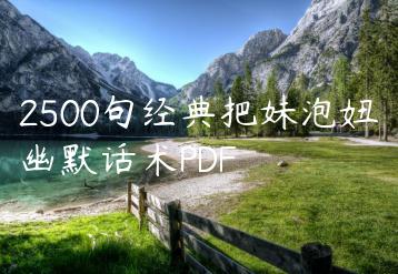 2500句经典把妹泡妞幽默话术PDF