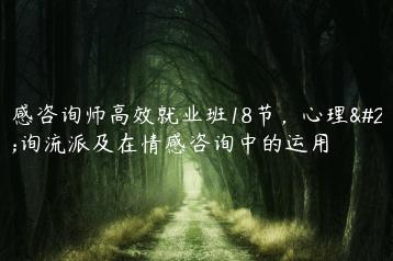 情感咨询师高效就业班18节，心理咨询流派及在情感咨询中的运用