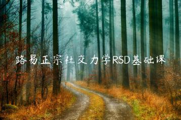 路易正宗社交力学RSD基础课