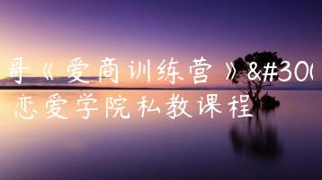 男哥《爱商训练营》男哥恋爱学院私教课程