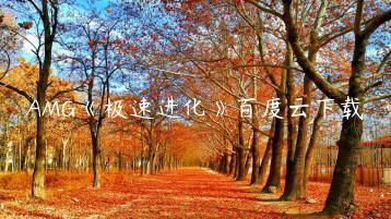 AMG《极速进化》百度云下载