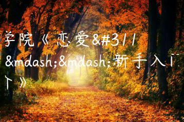 舞步学院《恋爱秘籍——新手入门进阶》