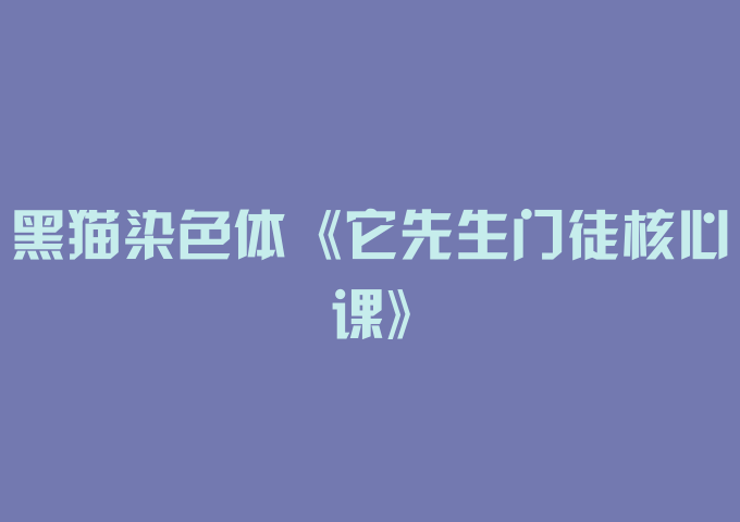黑猫染色体《它先生门徒核心课》