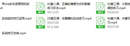 持久先生：延时训练视频课