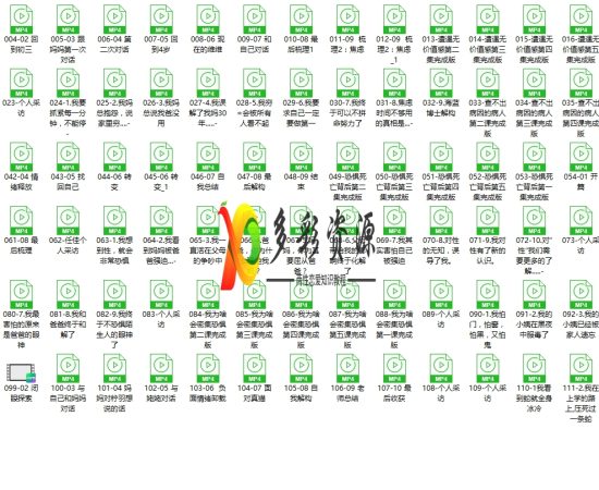 海蓝老师的情绪流个案课