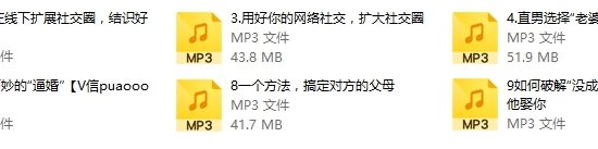 源靖《高效嫁人系列课》音频