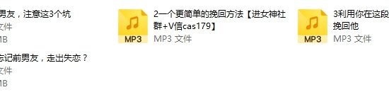 源靖《挽回男友系列课》4节音频