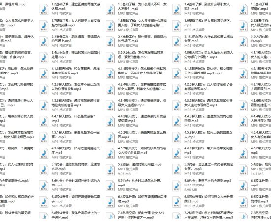 雅痞情感《雅痞网络课程+线下课程》