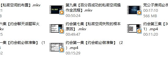 梵公子系列《约会加速器》