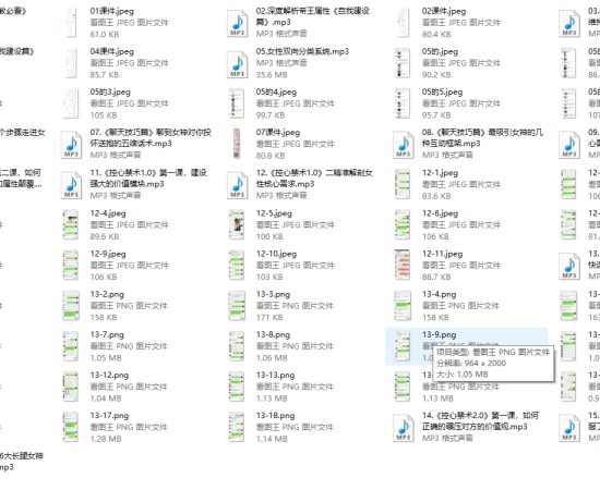 魅力男神私教课《魅男方法》