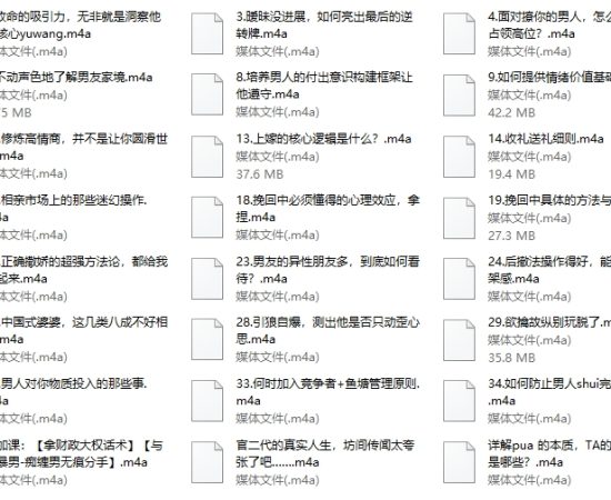 赛维高段课程二（39集音频）