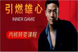 瑞恩《引燃雄心》标准版