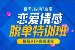 山本教育《素云VIP12期》32节视频课程