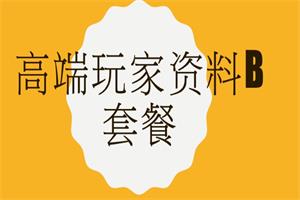 高端玩家资料B套餐