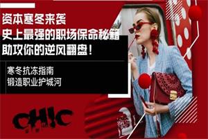 Chic原醉《审时度势，资本寒冬下的职场胜出秘籍》完结