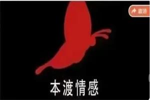 本渡情感《普通男性升阶之道》9节