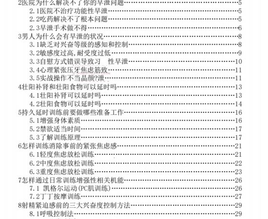 持久延时手册PDF