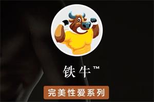 铁牛延时训练高级VIP课程